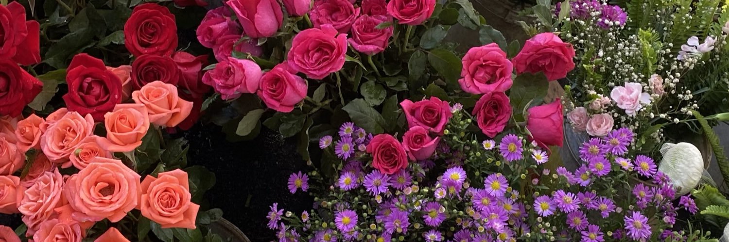 jamillefernands's profile banner image