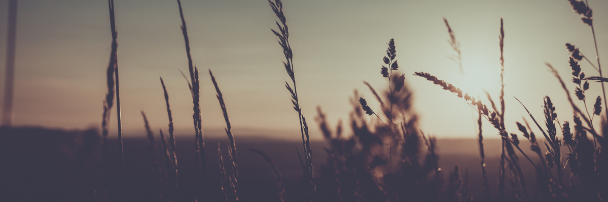 melissaabele's profile banner image