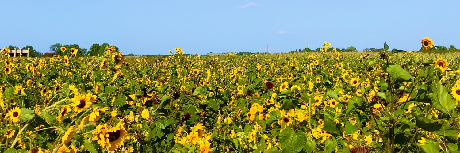 LeGingerNinjer's profile banner image