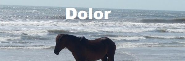 ArolWright's profile banner image