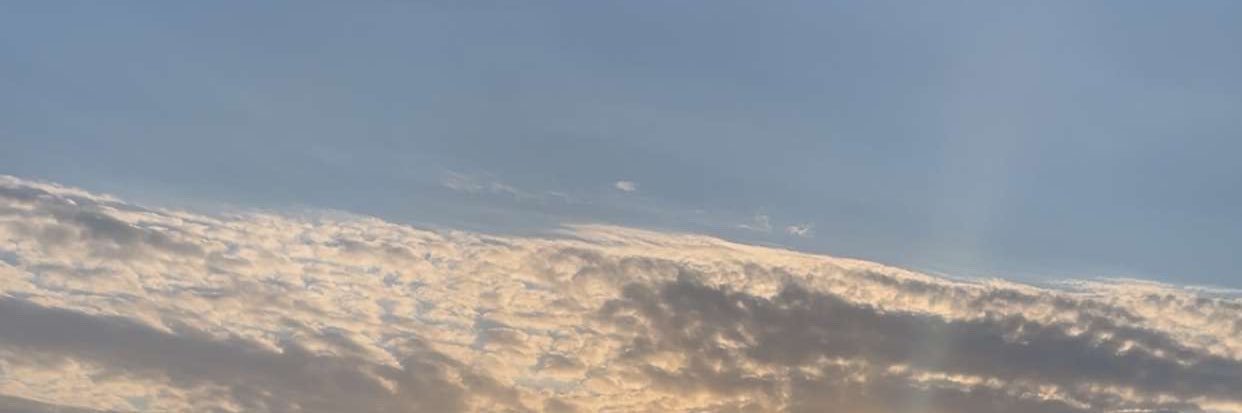 BigWengzz's profile banner image