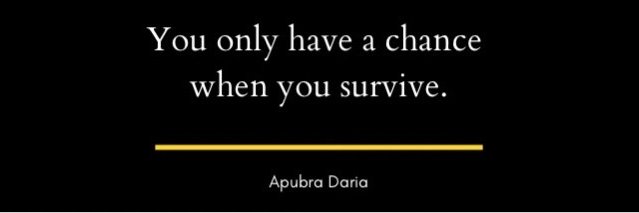 Apubra banner