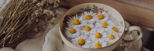 sultanizim's profile banner image