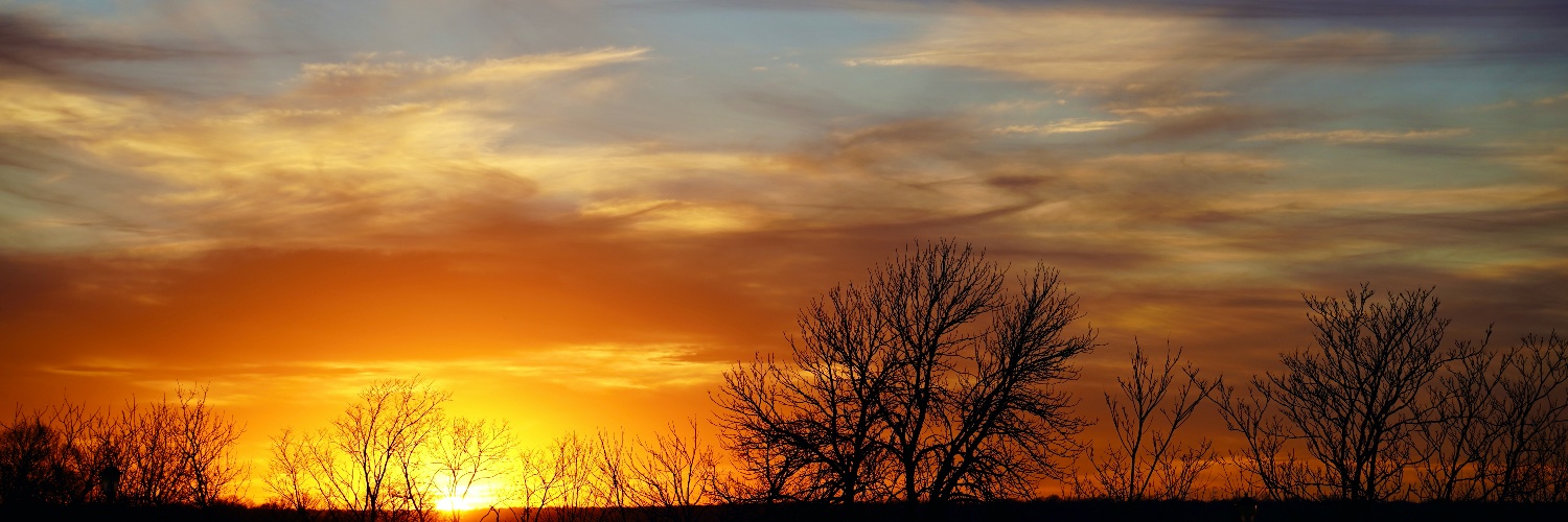DevonCarney's profile banner image