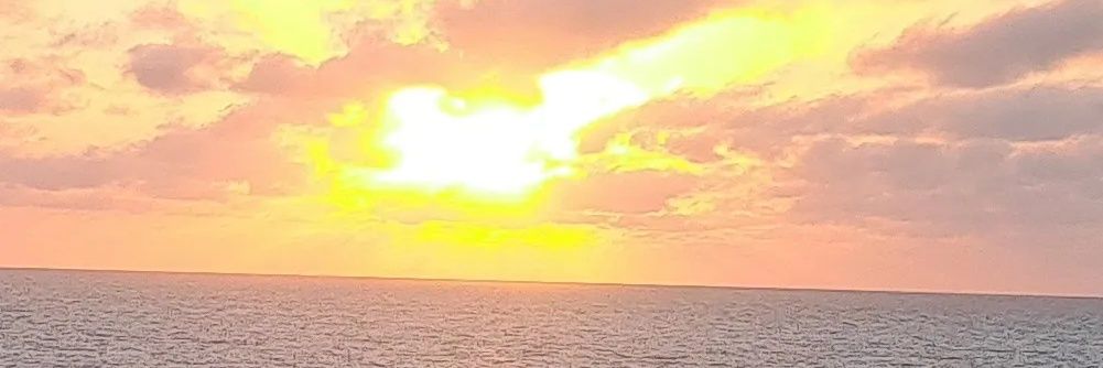 anthonylestran1's profile banner image