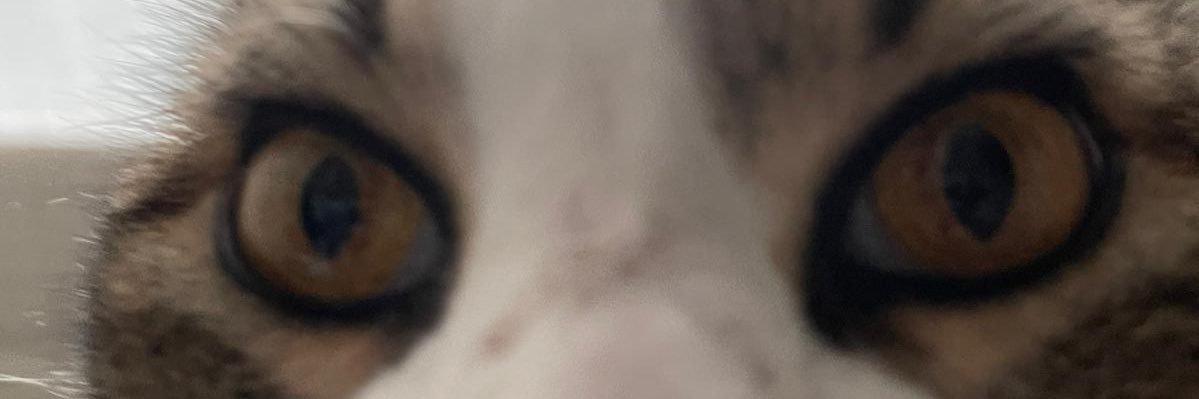 djeniq's profile banner image