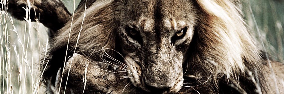 jamaltram81's profile banner image