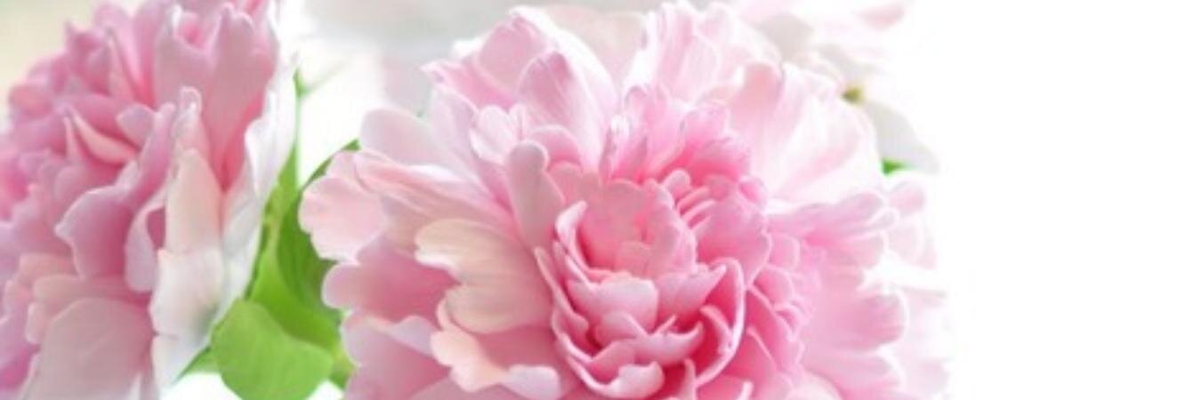 95Martatorres's profile banner image