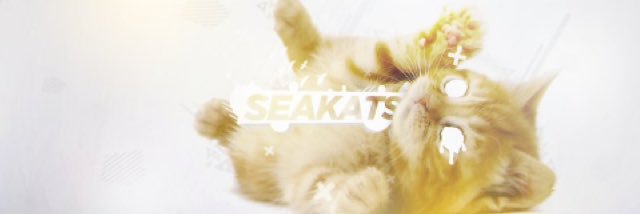 SwimmingKats's profile banner image