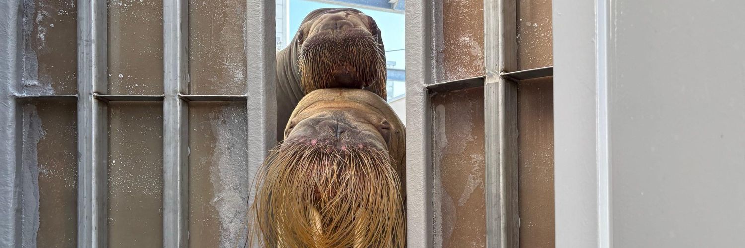 とばちゃん banner