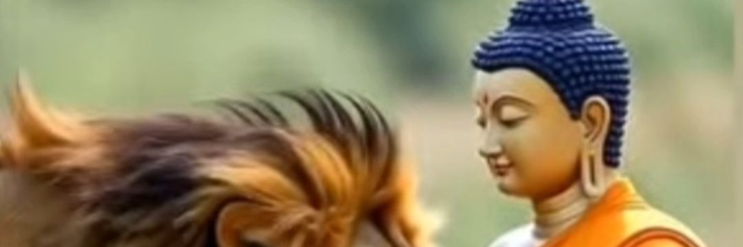 pmsetah's profile banner image