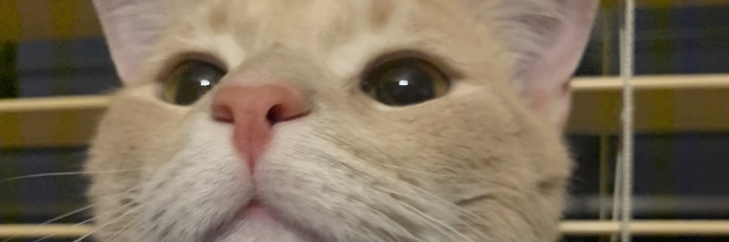 faryyC's profile banner image
