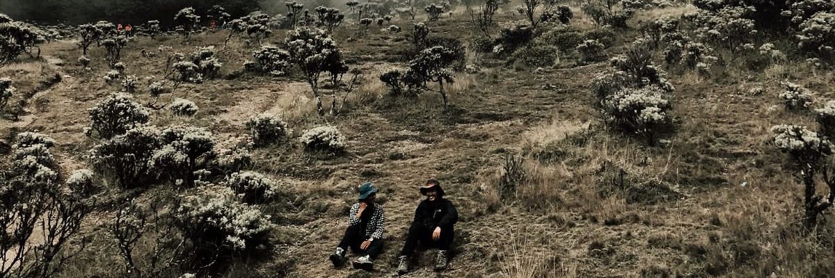 mchmdwildan's profile banner image