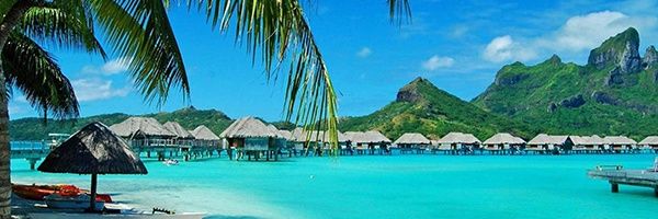 fibezo's profile banner image