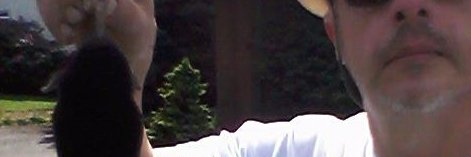 MOLETRAPPER's profile banner image