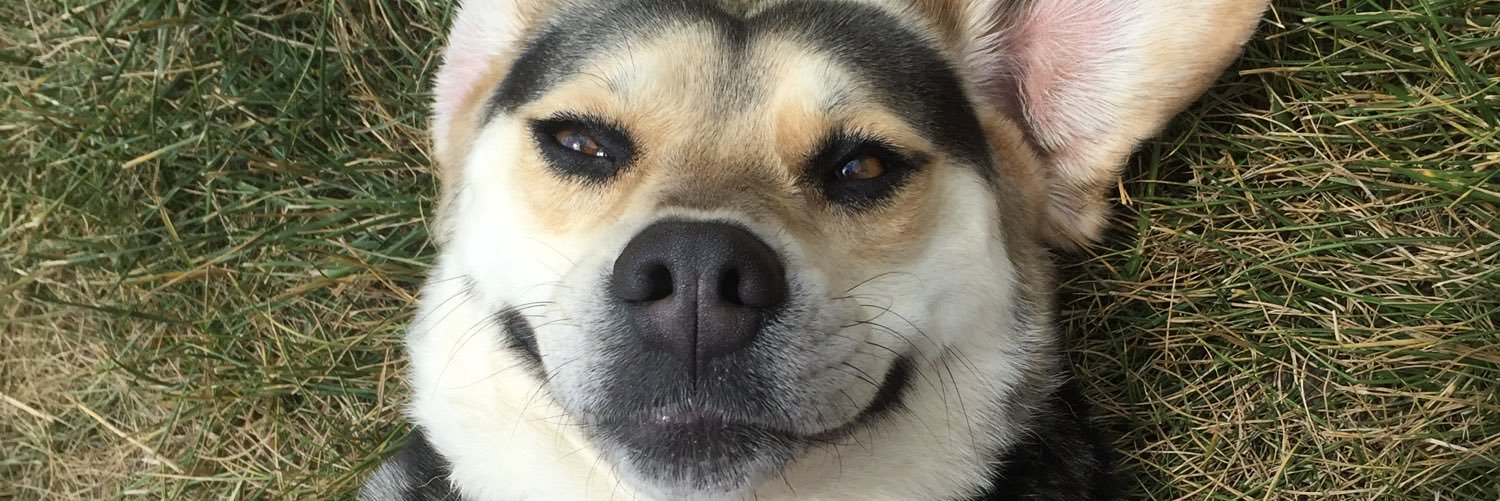 KitjadeMiCayla's profile banner image