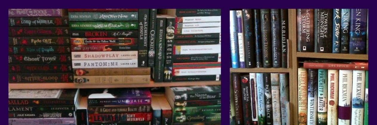 Bookish Outsider banner