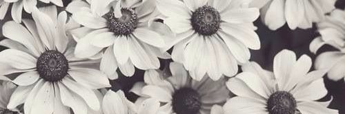 niallftsofi's profile banner image