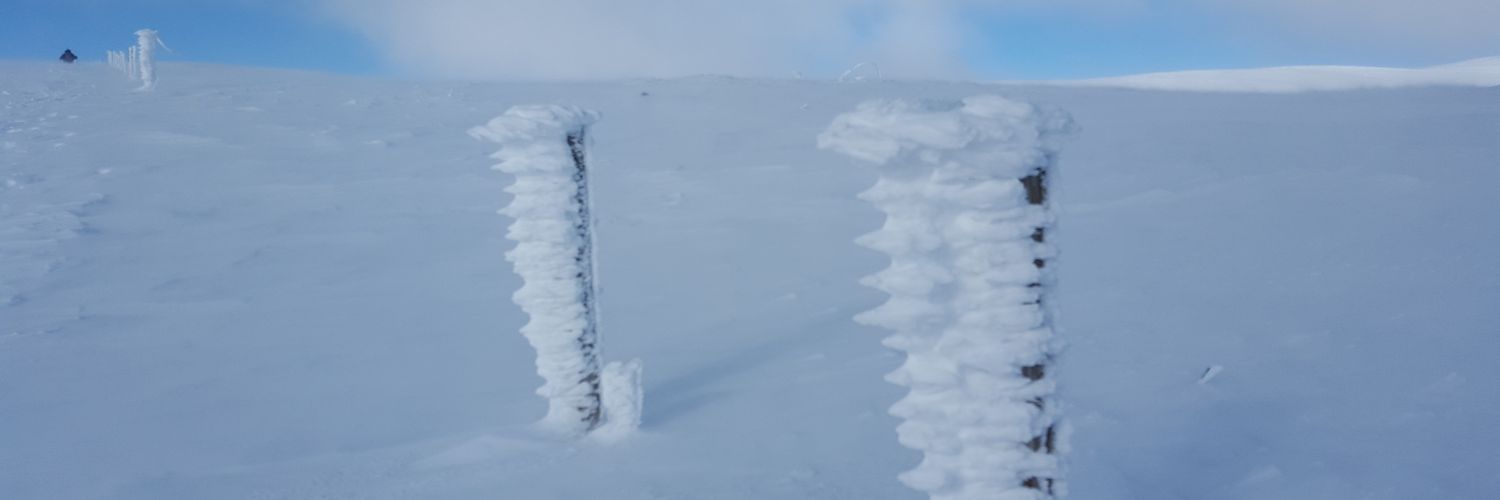 gjlauder's profile banner image