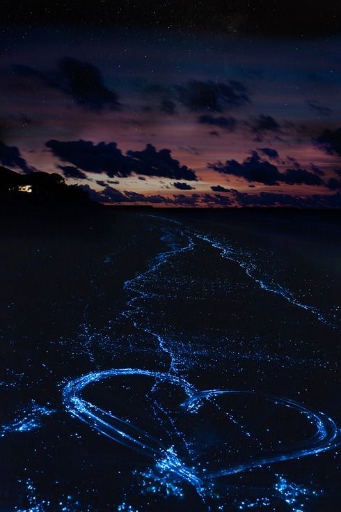 _GeovanaJeda's profile banner image