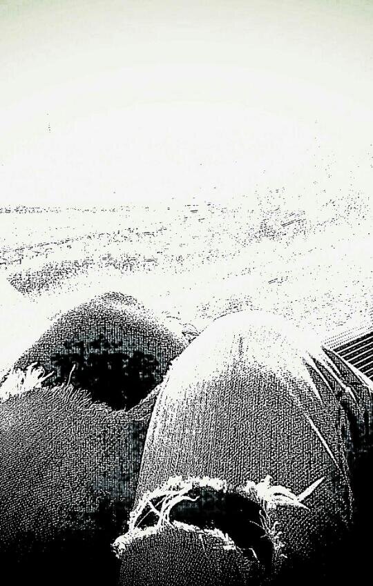 Mirr_OB's profile banner image