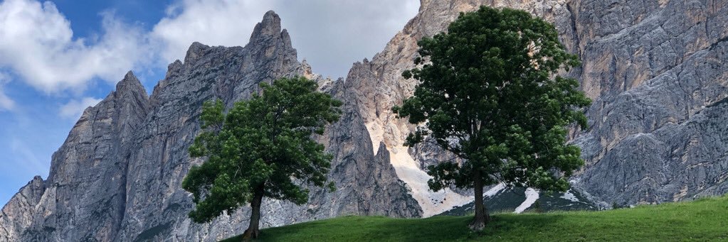 aronuhre's profile banner image