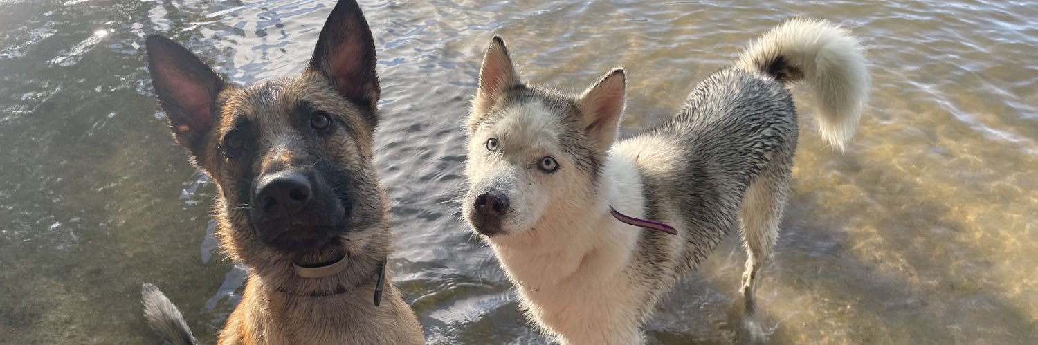 jaybugs_'s profile banner image
