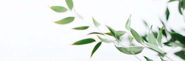 raghad4631's profile banner image