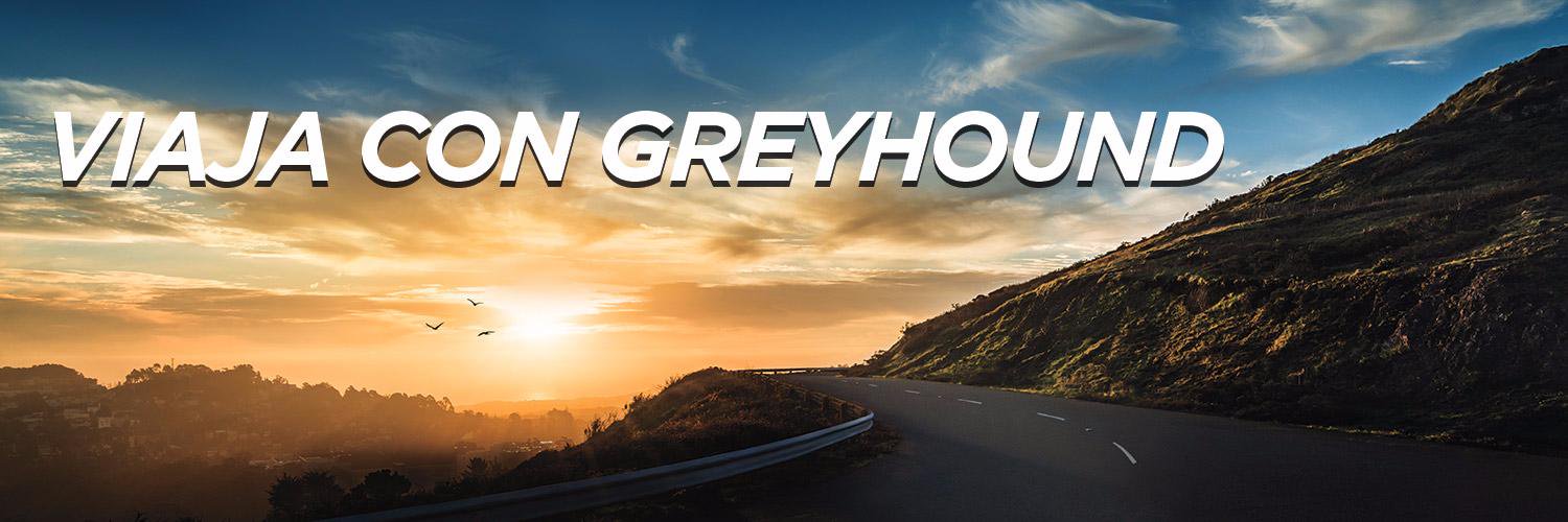 GreyhoundESP's profile banner image
