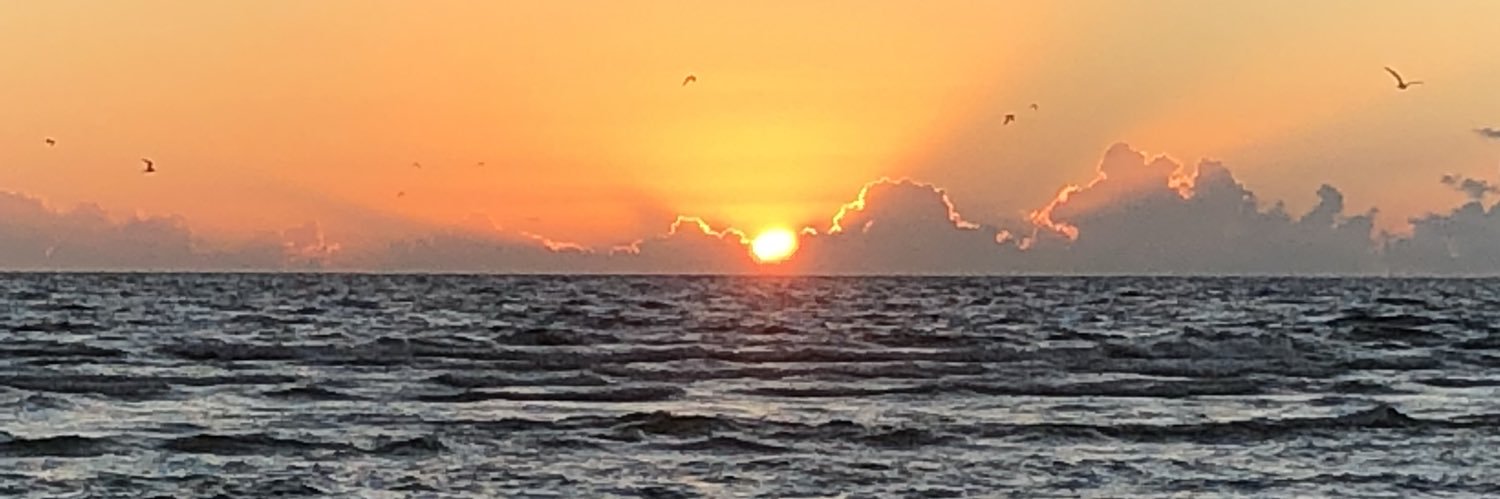 kate_curated's profile banner image