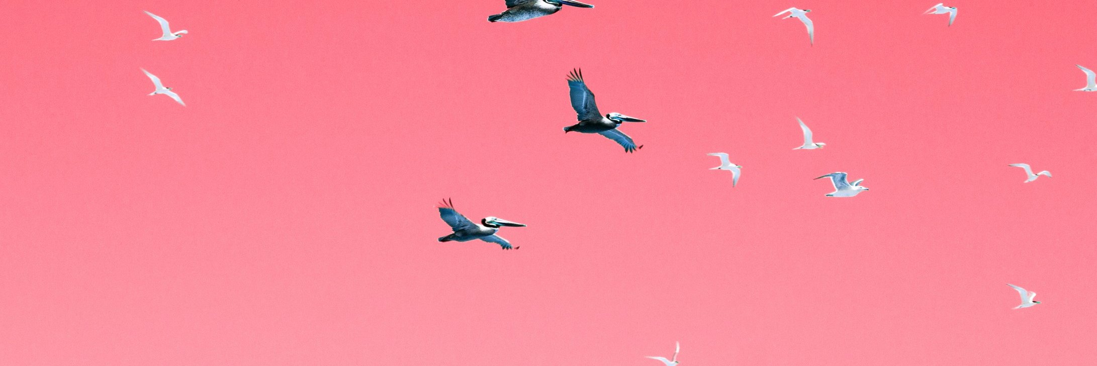 Left Hand Shakes banner