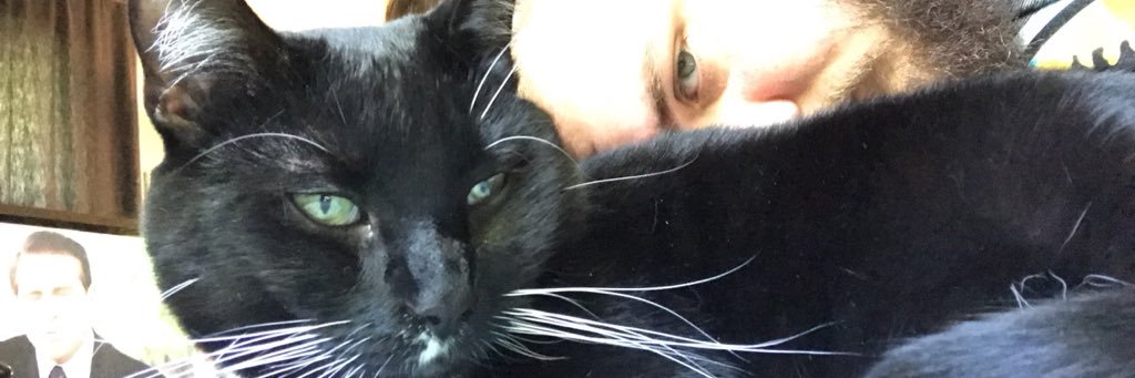 Bigbatmoegan's profile banner image