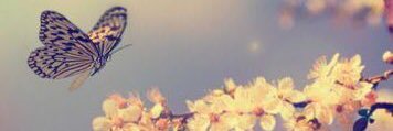 alamtarose's profile banner image