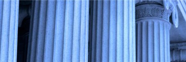 DRI Public Policy banner