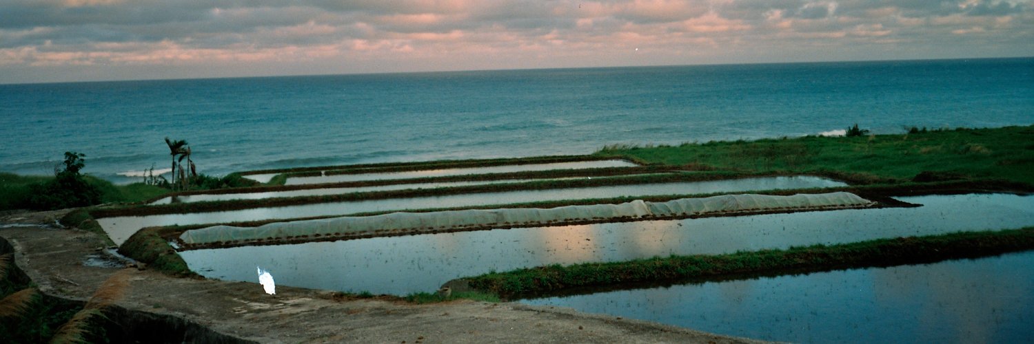 Courtney Donovan Smith 石東文 banner