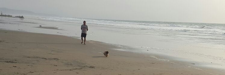 INGLUCASC's profile banner image