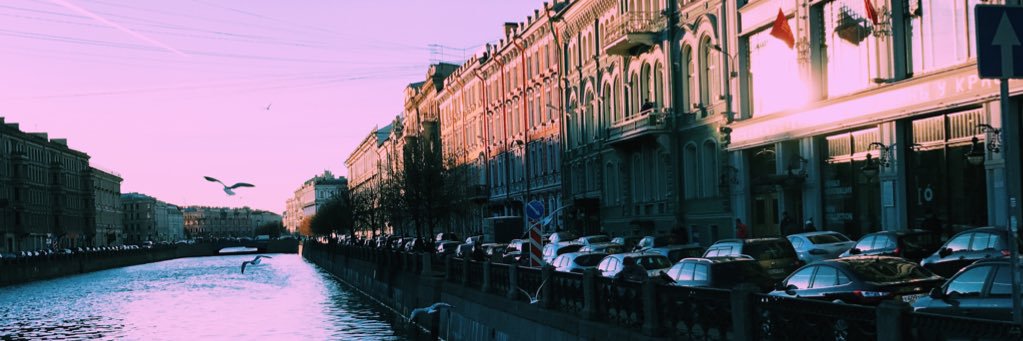 MsLevinzon's profile banner image