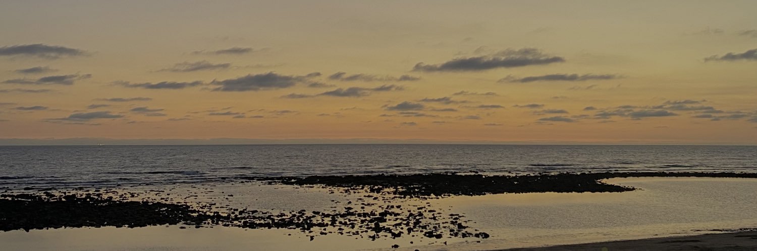larabosch_'s profile banner image