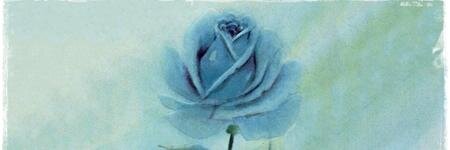 IAlwaysBelieve's profile banner image