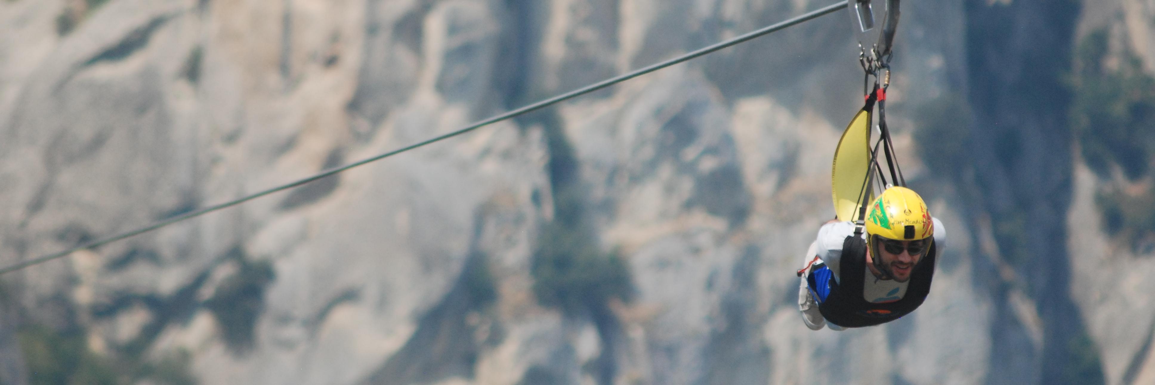 carminezaccaro's profile banner image