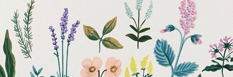 RachelVeith's profile banner image