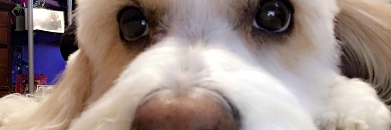 ebrock_xo's profile banner image