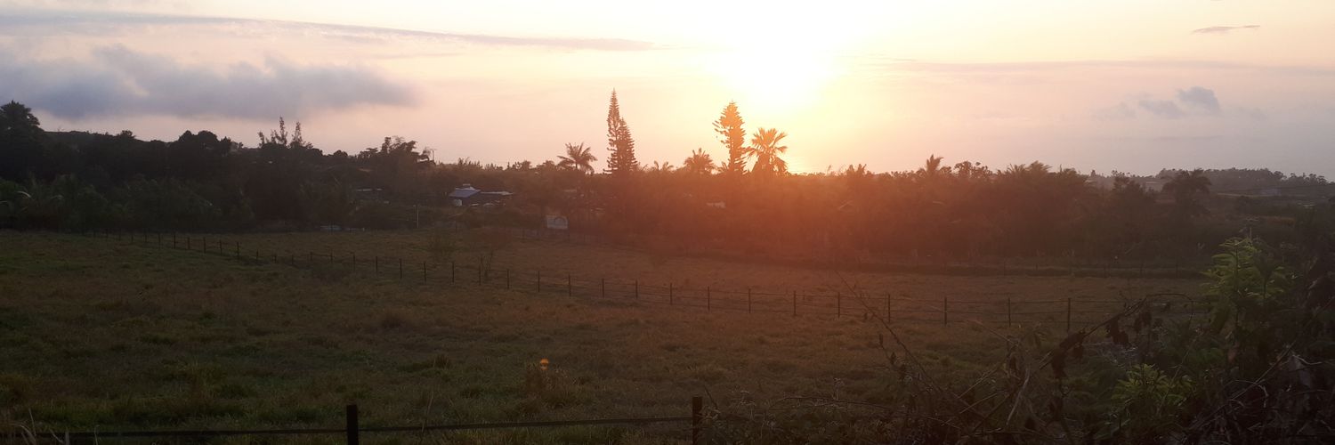 MasterTokai's profile banner image