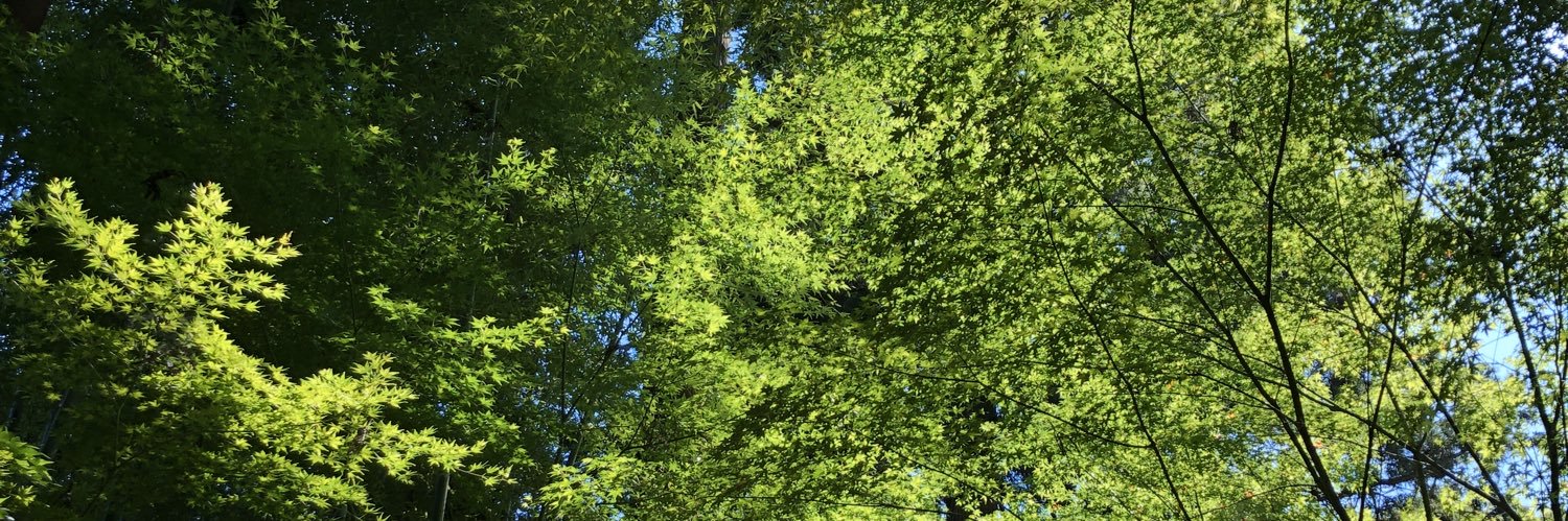 kno_ha's profile banner image