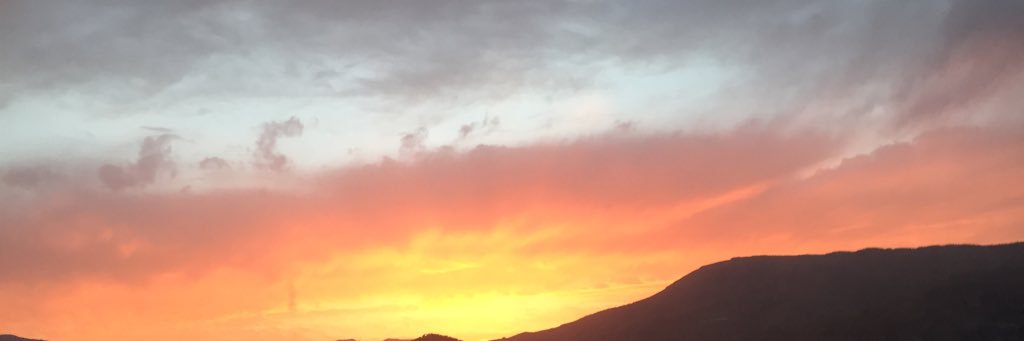 lauracsrs's profile banner image