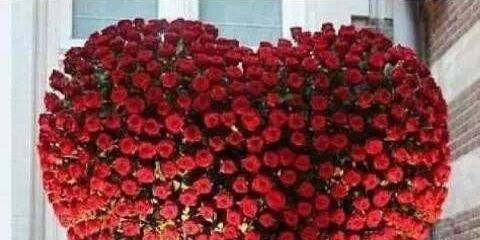 zaidu's profile banner image