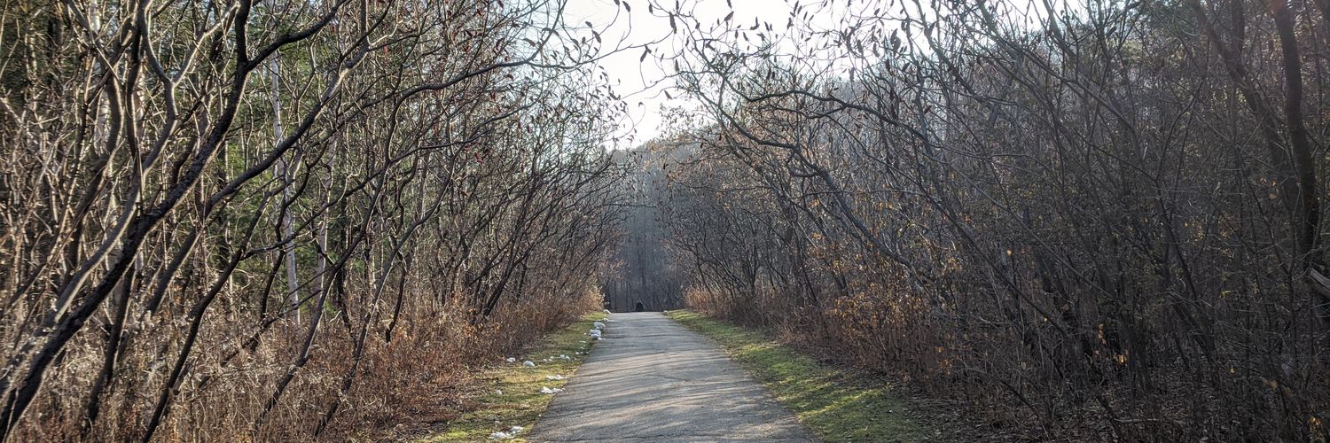 Jenn McArthur (she/her) 🇨🇦🏳️‍🌈 banner