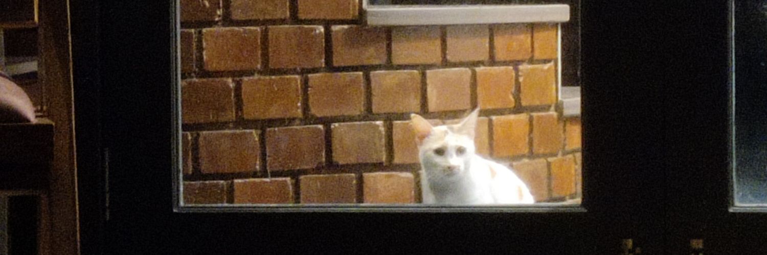 The Catterati banner