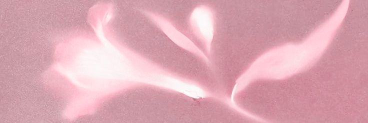 𝒜𝓅ℴ𝓁𝓁ℴ banner