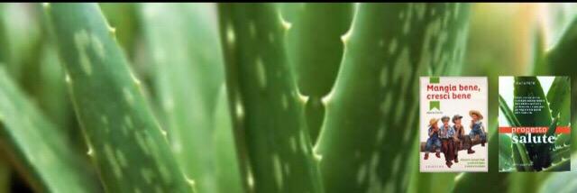 Alberto Fiorito banner